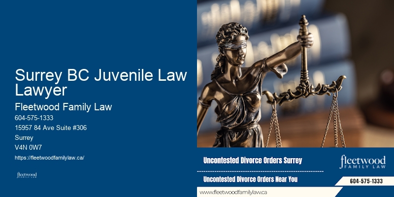 Paternity Dispute Resolution Surrey BC Juvenile Law Lawyer BC