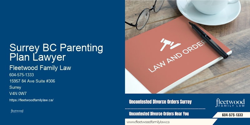 Family law and child advocacy experts Surrey BC Parenting Plan Lawyer
