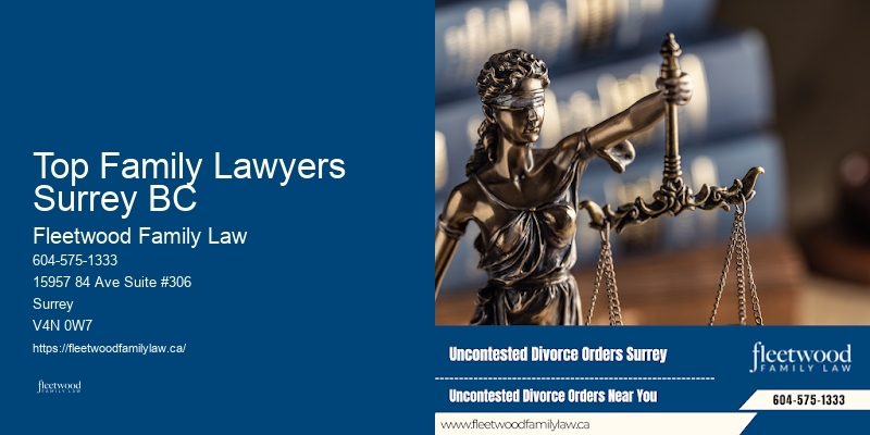 Family law case reviews Top Family Lawyers Surrey BC BC