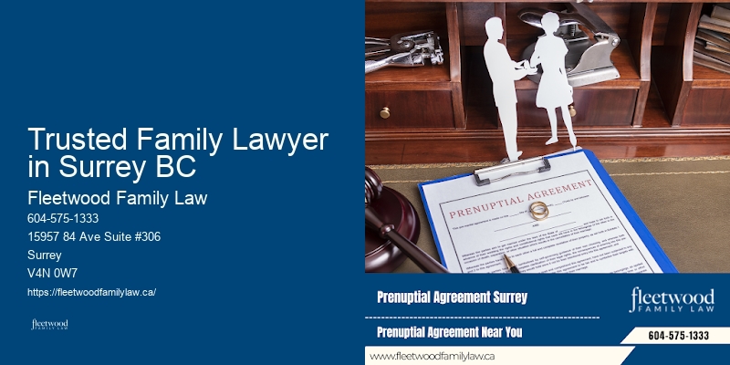 Family Law Appeals Trusted Family Lawyer in Surrey BC BC