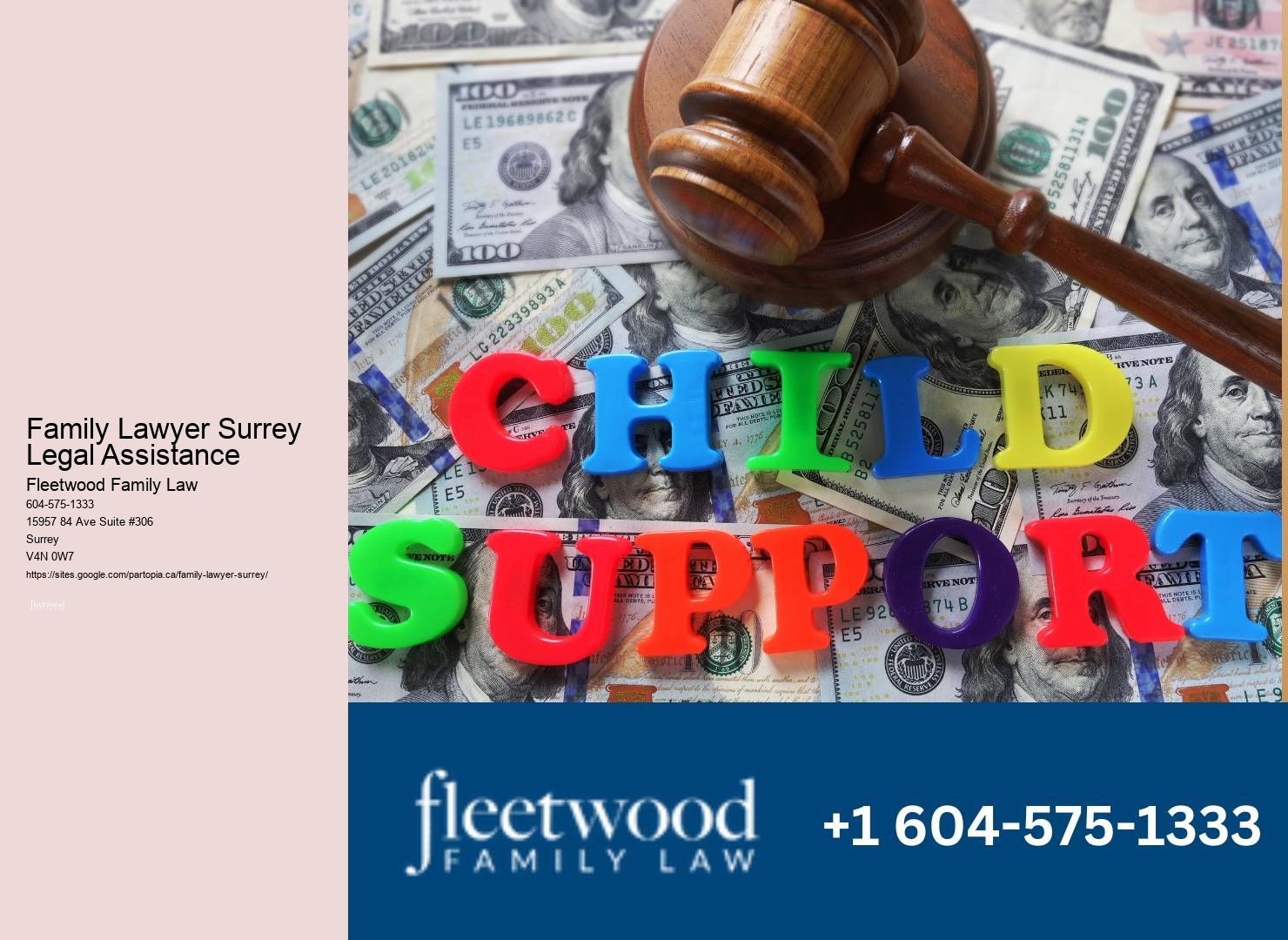 Family Lawyer in Surrey BC
