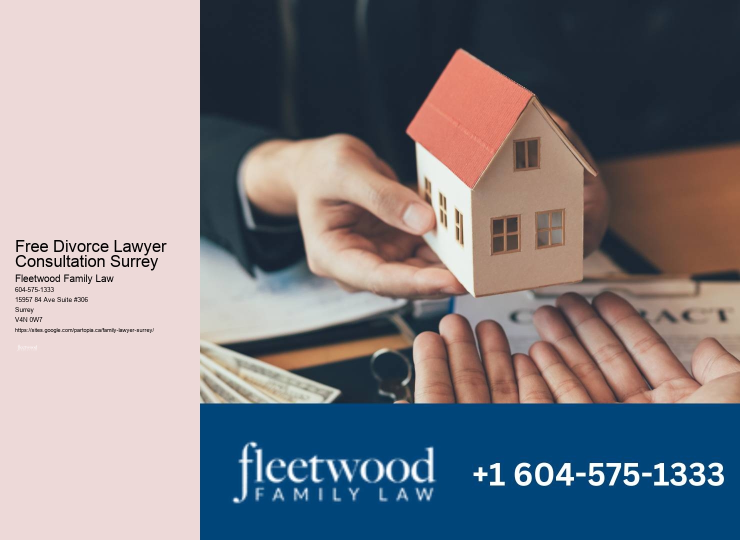 Expert Family Lawyer Surrey