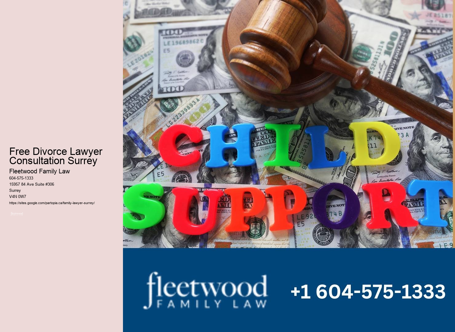 How Much Do A Family Lawyer Cost