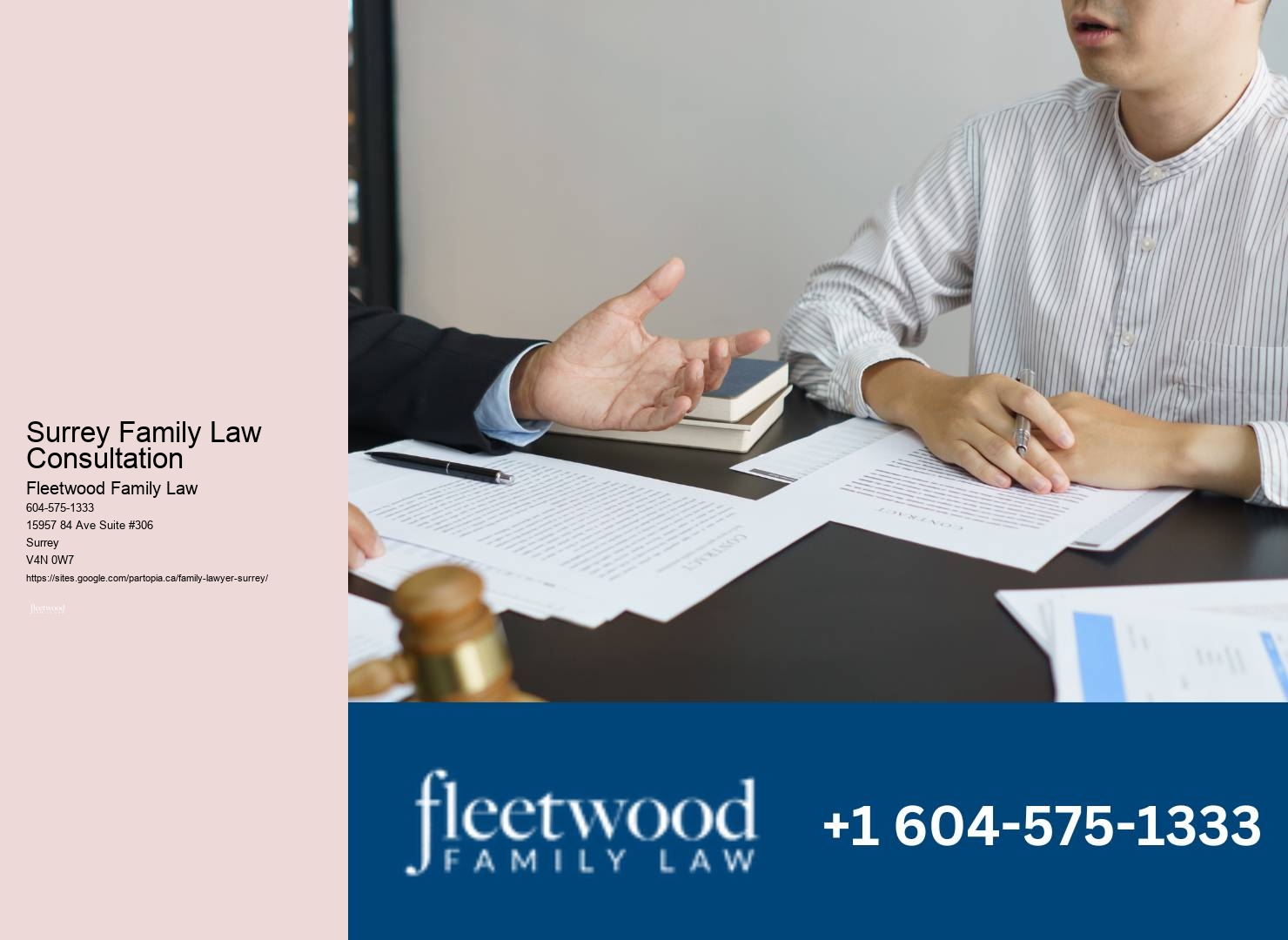 Child custody legal consultation Surrey