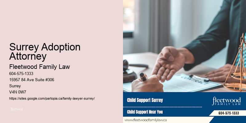 Surrey Adoption Attorney