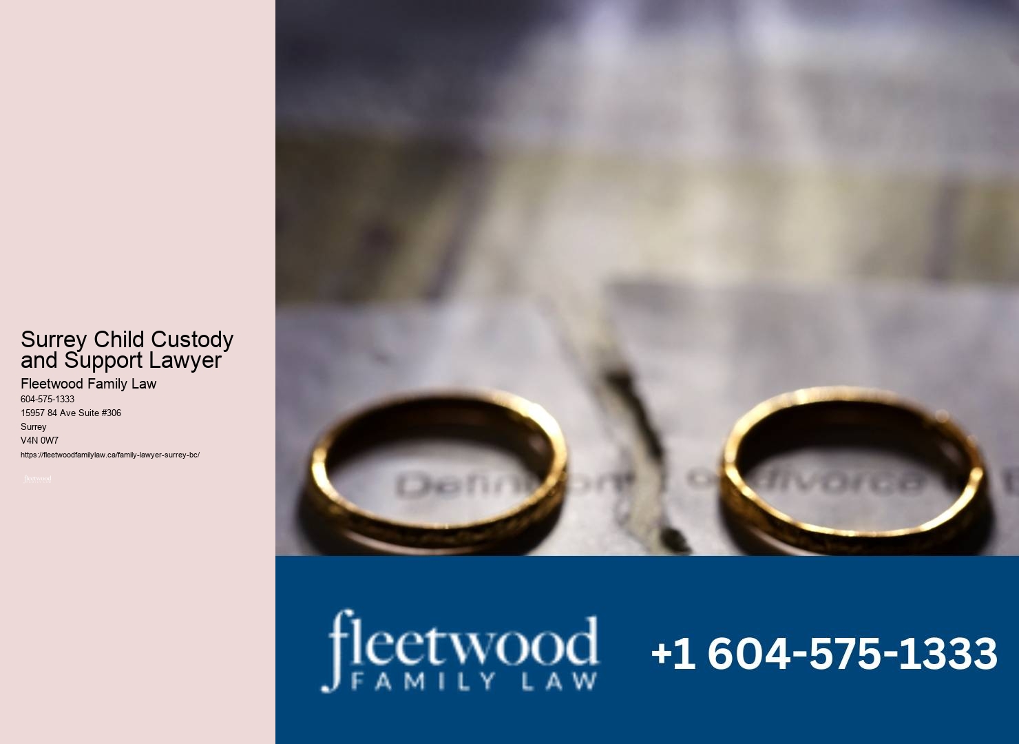 Top Child Custody Attorney Surrey Child Custody and Support Lawyer