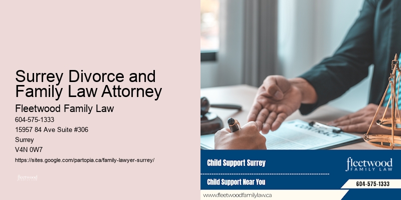 Surrey Divorce and Family Law Attorney