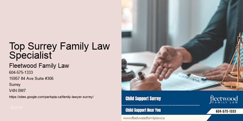 Top Surrey Family Law Specialist