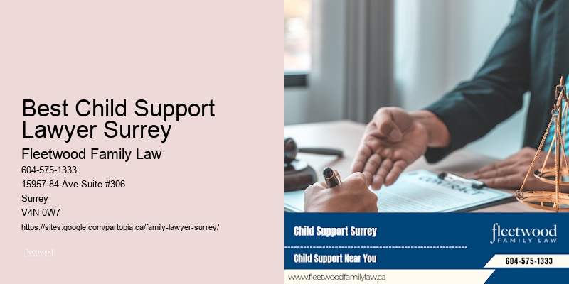 Best Child Support Lawyer Surrey