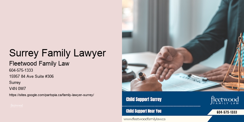 Surrey Family Lawyer