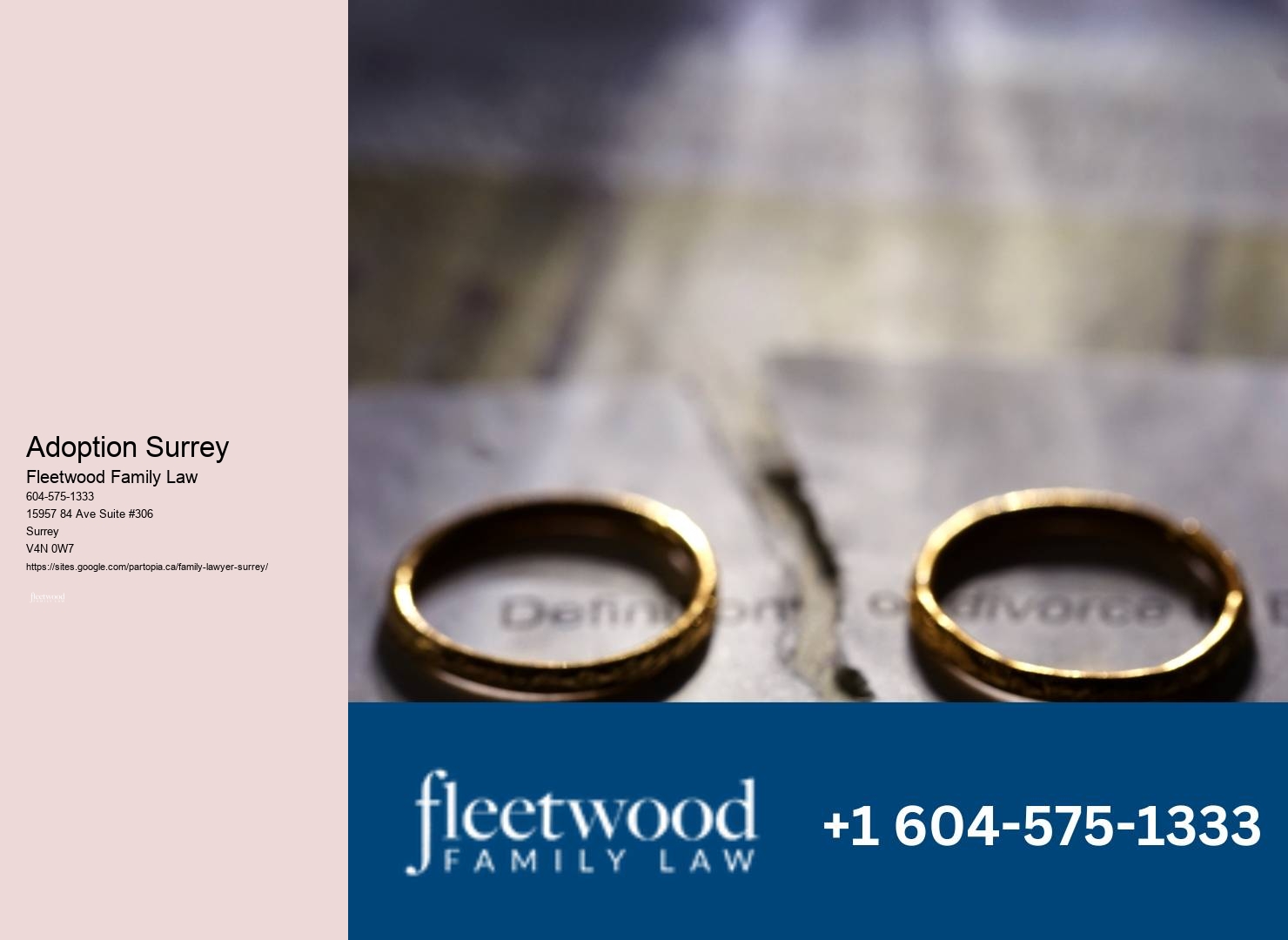 Professional Family Law Services Surrey BC