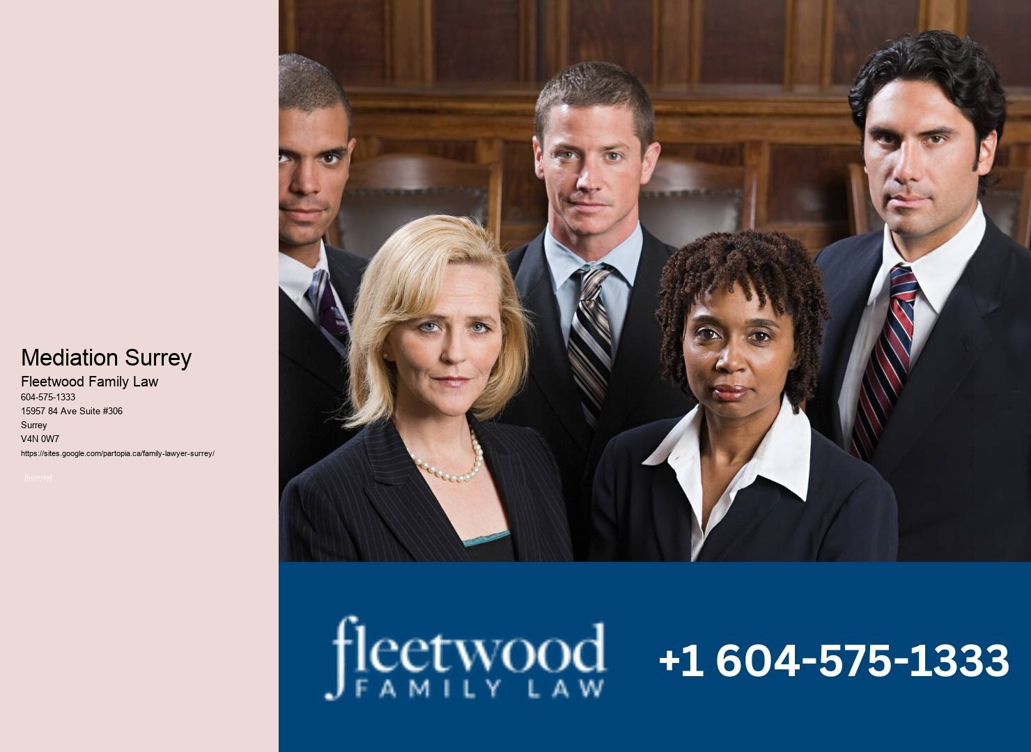 Surrey Domestic Relations Attorney