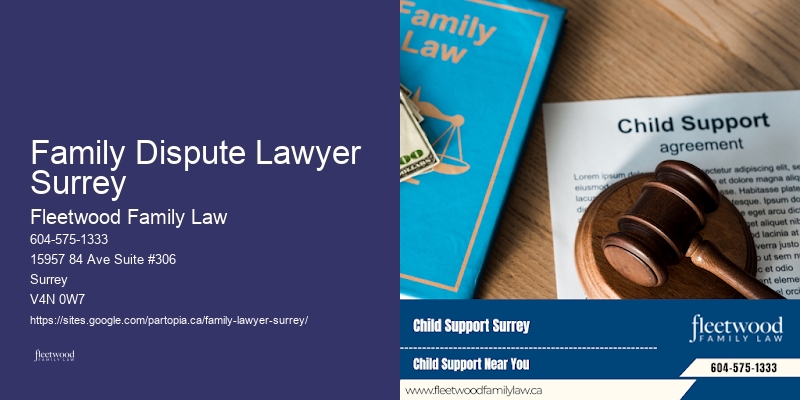 Family Dispute Lawyer Surrey