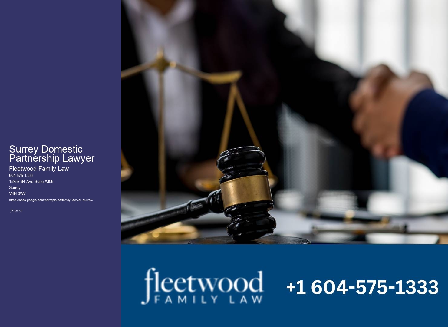 Family law support Surrey Domestic Partnership Lawyer