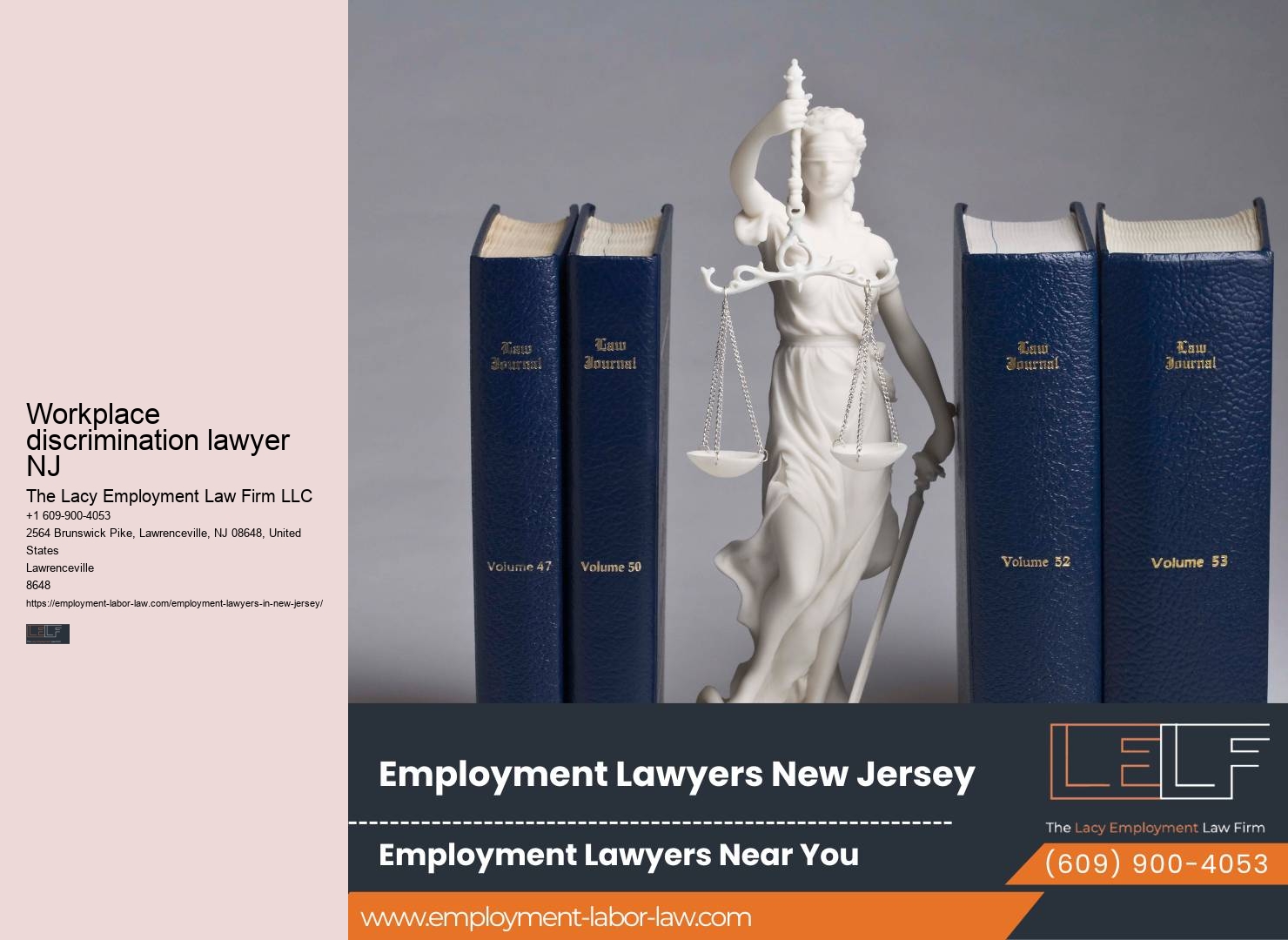 Employment litigation lawyer NJ