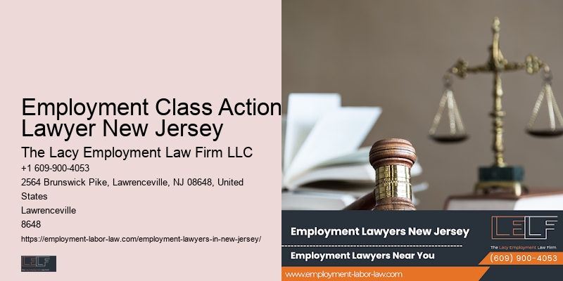 Employment Class Action Lawyer New Jersey Employment Dispute Lawyer