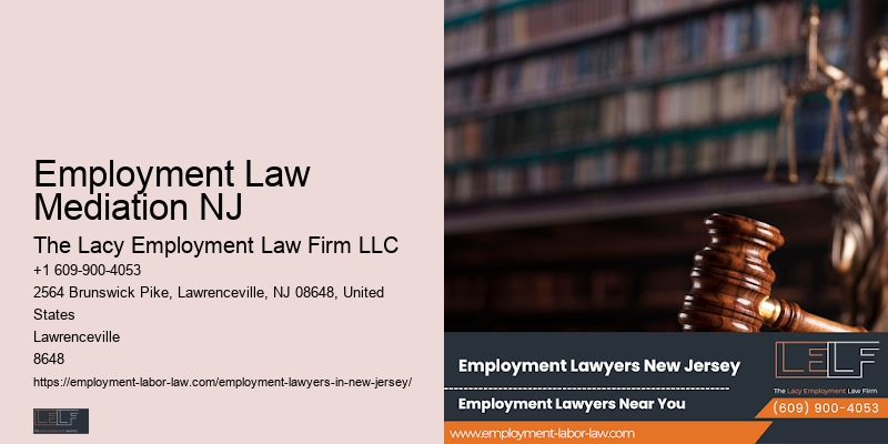 NJ Employment Litigation Expert