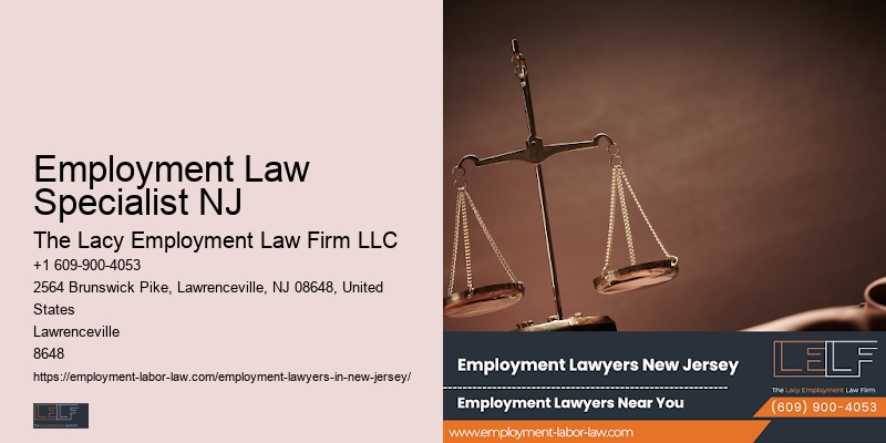 Employment Law Specialist NJ Employment Lawyer For Professionals