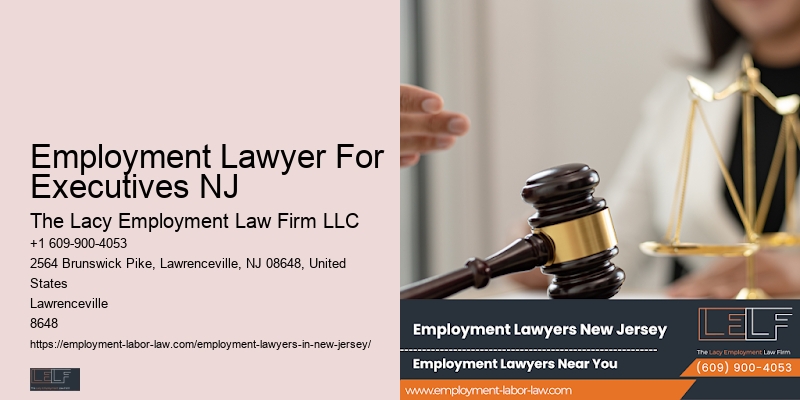 Employment Litigation Lawyer NJ
