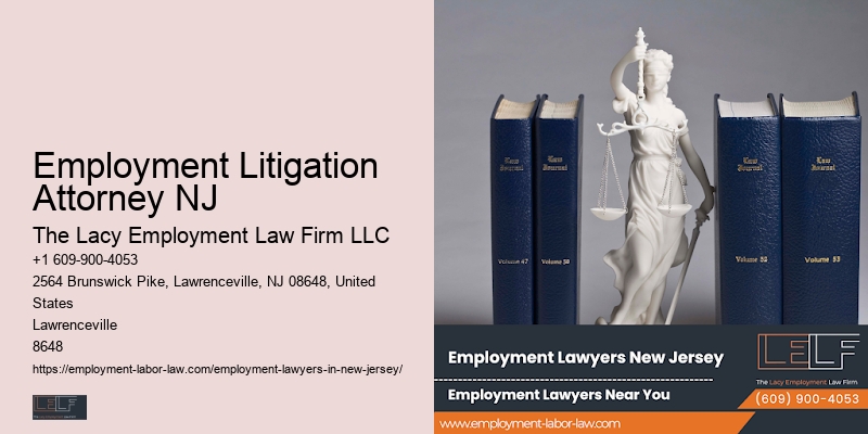 Employment Litigation Attorney NJ