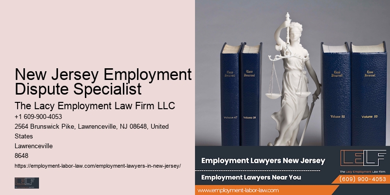 New Jersey Employment Dispute Specialist
