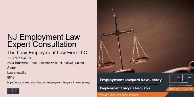 NJ Employment Law Expert Consultation