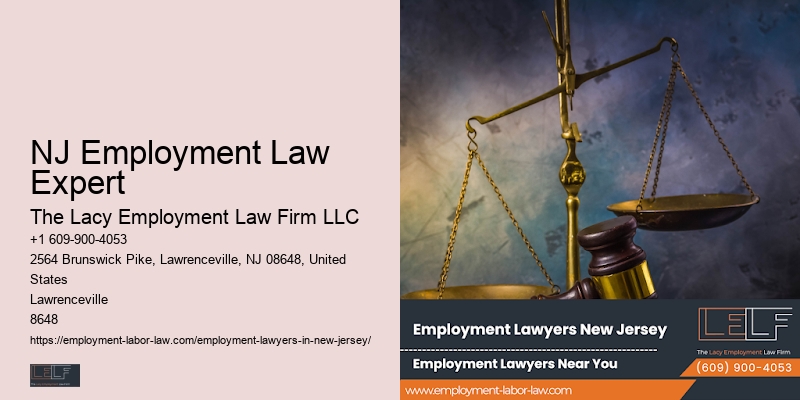 Employment Lawyer NJ Employment Law Expert