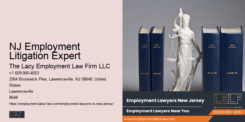 NJ Employment Litigation Expert