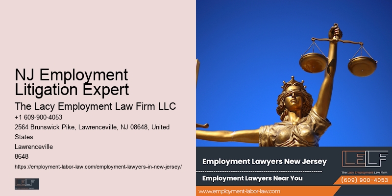 NJ Employment Litigation Expert Workplace Legal Services