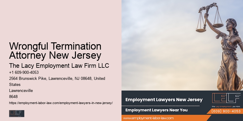NJ Employment Rights Consultant