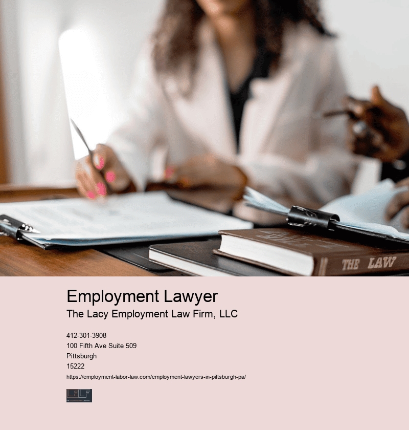 Employment Lawyer