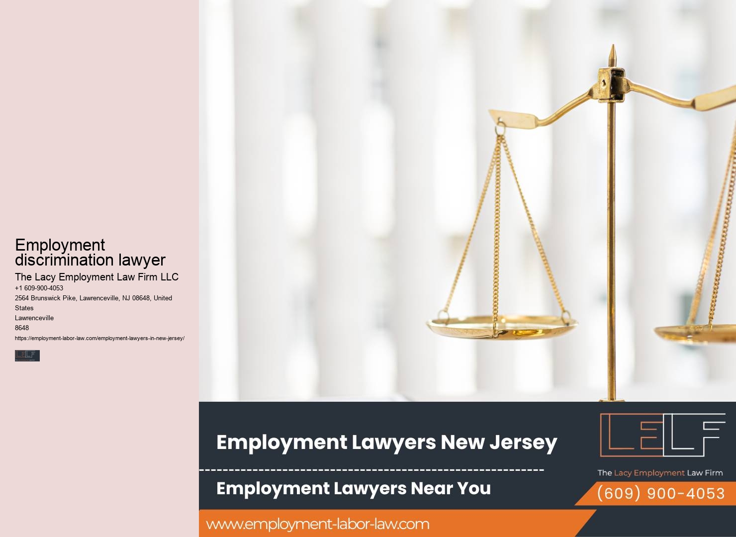 Employment contract review NJ