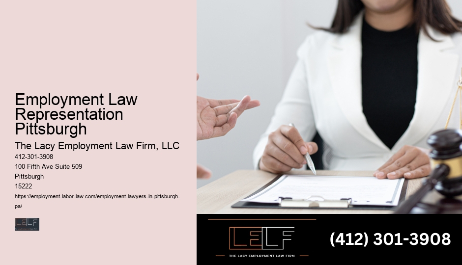 Employment Law Representation Pittsburgh Employment Lawyer