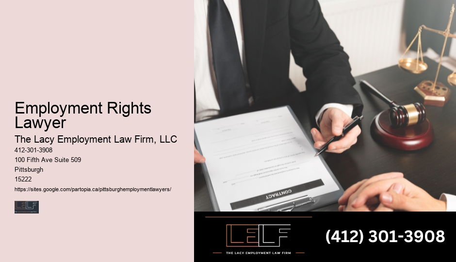 Employment Solicitor