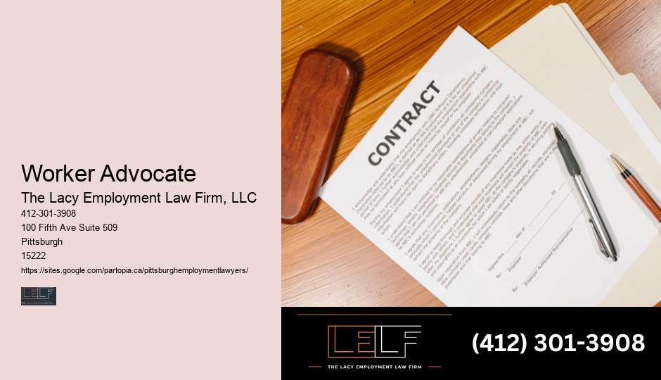 Employment Lawyer