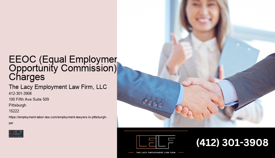 Pittsburgh Employment Lawyer Pricing Options