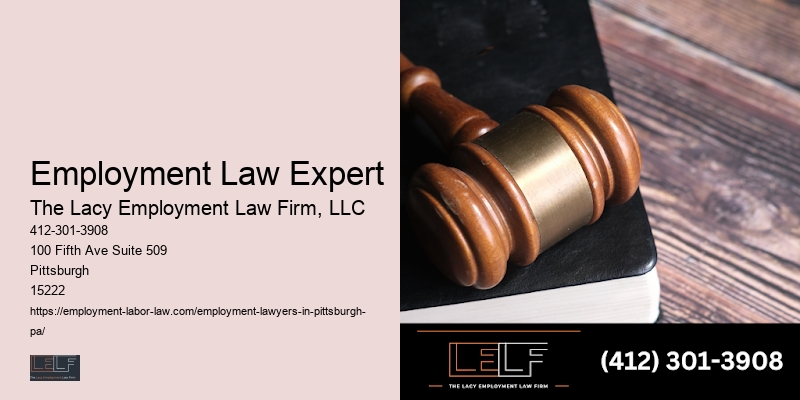 Employment Law Expert