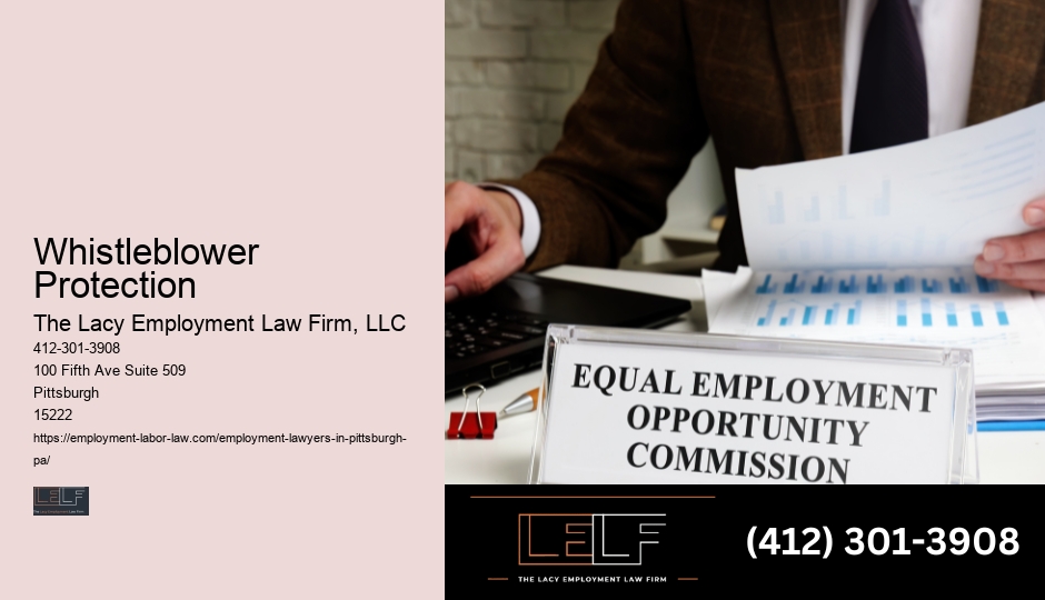 Pittsburgh Employment Law Expertise